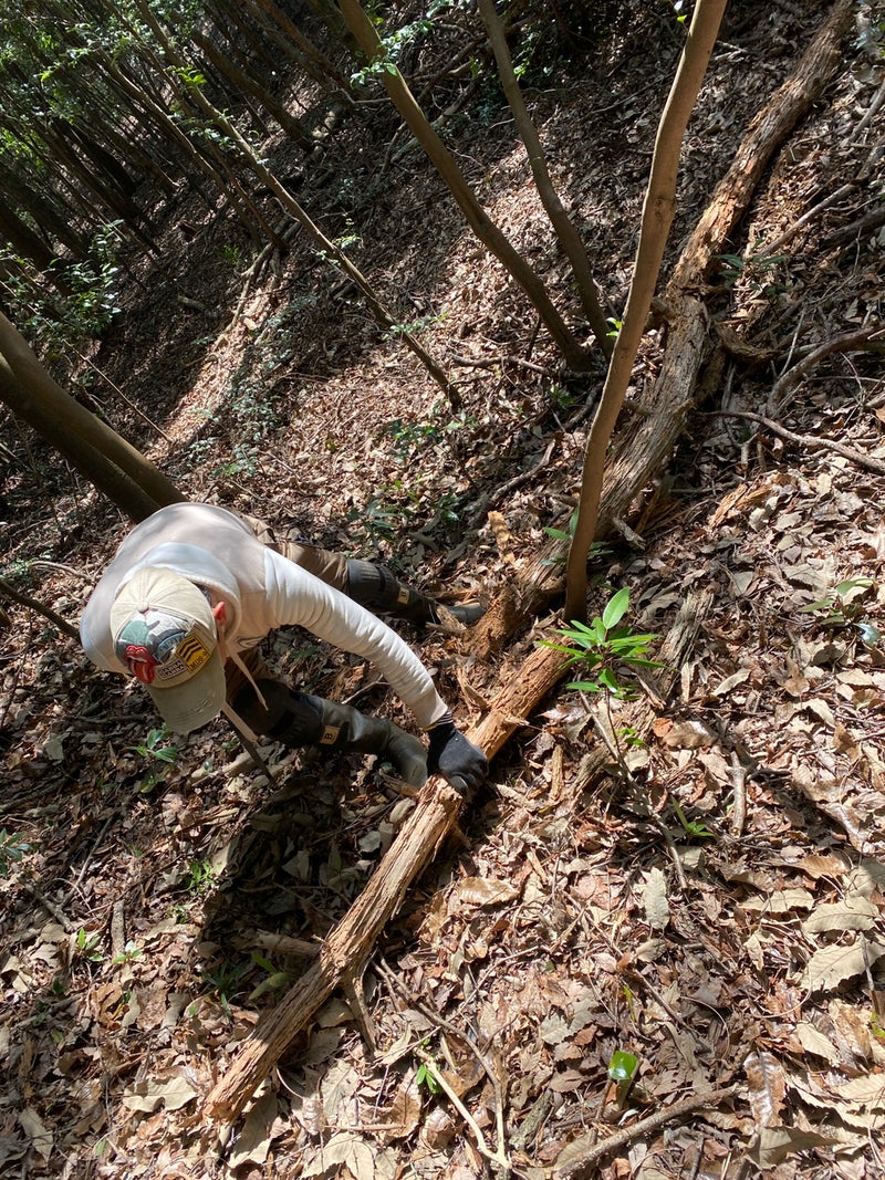 裏山にせっせと薪拾いに行く章太さん