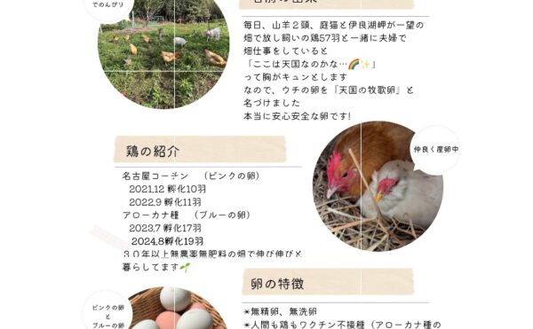 卵定期早割り予約スタート